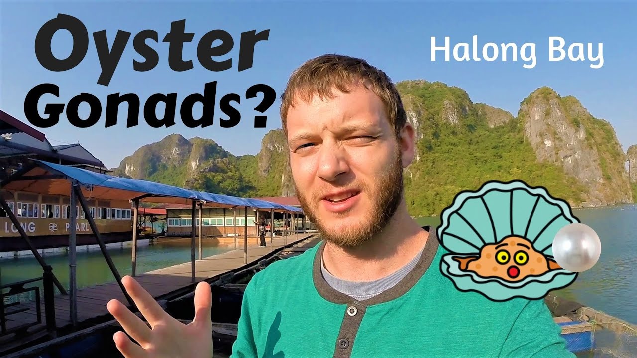 Stunning bay views complement the experience, making pearl farms a unique blend of nature and artistry.