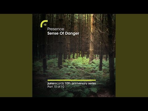 Sense Of Danger (Calibre Remix)
