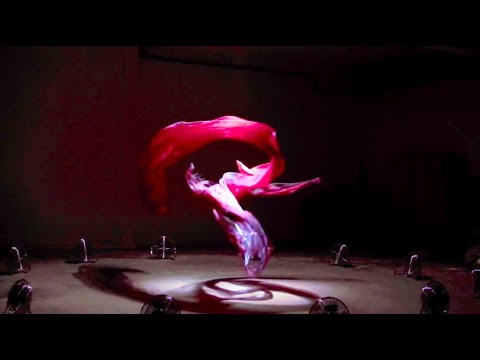 Luca D'Alberto - The life after (Official Video)