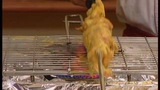 Thumbnail del capítulo