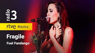 Fuel Fandango - “Fragile” | Conciertos de Radio 3 (2013)