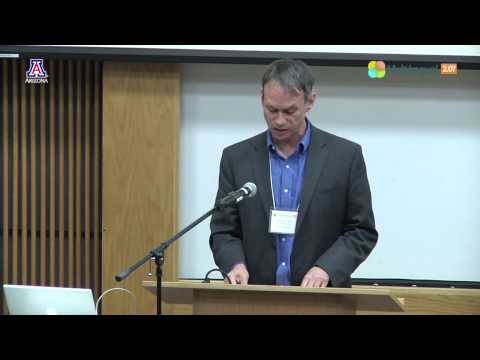 Polyglot Film: The Primacy of Visual Communication - Randall Halle - Multilingual, 2.0?