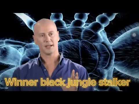 Black jungle stalker vs black face katydid