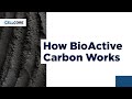 How BioActive Carbon Works | CellCore Bioscience