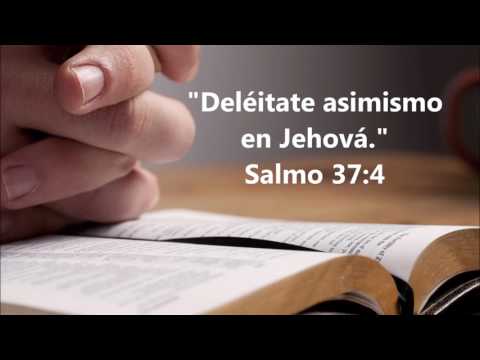 MEDITACIÓN DE HOY CON MILTON VILLANUEVA - 14 de junio