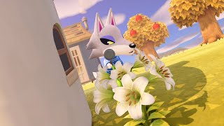 花を観察するシベリアくん【あつ森】
