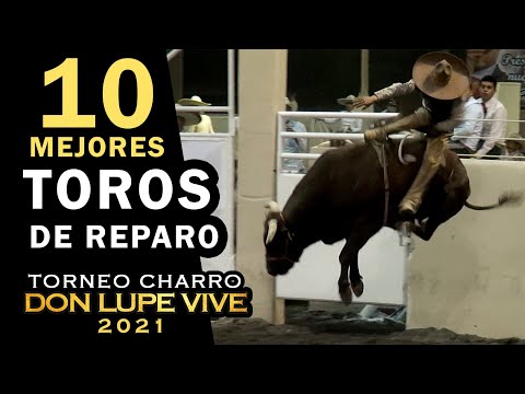 The 10 REPARO BULLS Bull Riding - Don Lupe Vive Tournament 2021