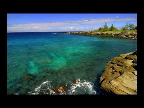 Celine Dion - L'abandon