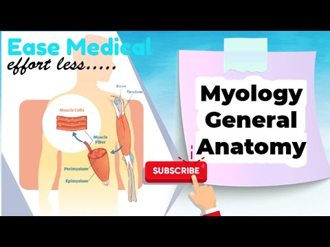 Basics of Myology - General Anatomy Medical videos #Ease Medical #Easemedical..