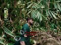 Pidivatham WhatsApp Status Song Download Buggimaan MALAYSIA MANNIN MAITHAN