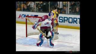 Vidéo NHL 2004