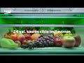 Įmontuojamas šaldytuvas Beko BCNA275E4SN