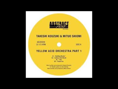 Takeshi Kouzuki - Solitary Acid World