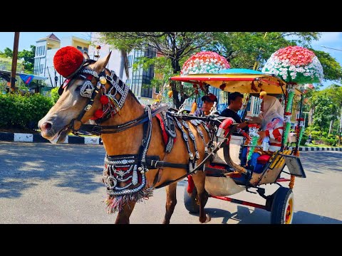 NAIK KUDA DELMAN ONDEL ONDEL -BADUT LUCU JOGET - PAGIKU CERAHKU - CACA MARICA HEY HEY - ANJING KECIL