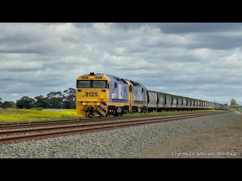 7736V Pacific National Grain Train Stops At Gheringhap (16/10/2019) - PoathTV Australian Railways