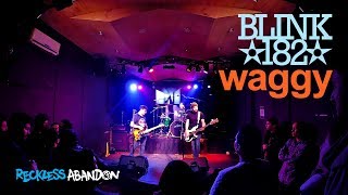 Blink-182 - Waggy (Live tribute band)