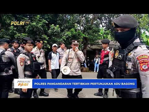 POLRES PANGANDARAN AMANKAN NGADU BAGONG