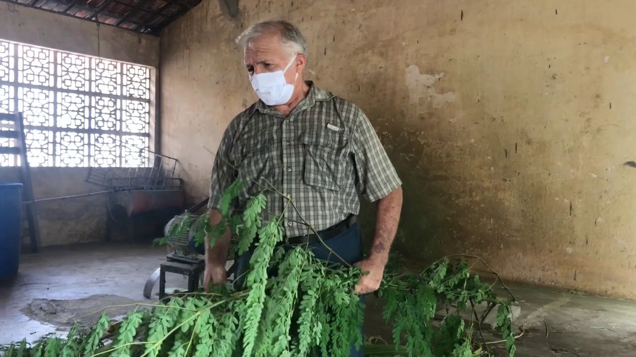 Aula Prática 7 - Manejo Alimentar de ovinos e caprinos