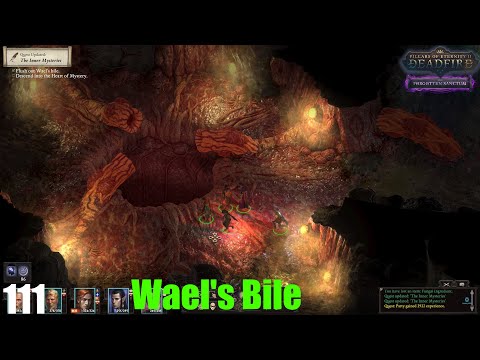 Wael's Bile - Pillars of Eternity II : Deadfire (Veteran Walkthrough) Part 111