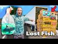Ordering a Live Fish Return Pallet... What's Inside?