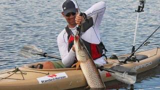 How to Safely Land and Release PIke