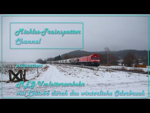 ☆☆☆ MEG-Umleiterverkehr mit Class 66 durch das winterliche Oderbruch ☆☆☆