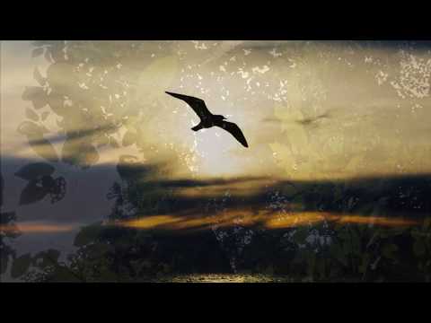 BETEL DUMBRĂVENI - Popor ales din lumea rea