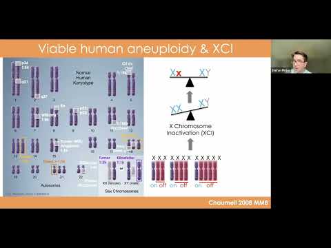 CRISPRa/i tools to probe gene function in 8p syndrome