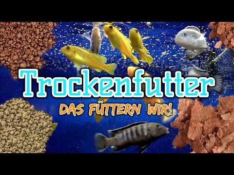 , title : 'Dieses Trockenfutter nutzen wir täglich | Futter für deine Zierfische | Fischfutter | Teil 2'