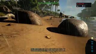 【ARK: Survival Evolved】久々に