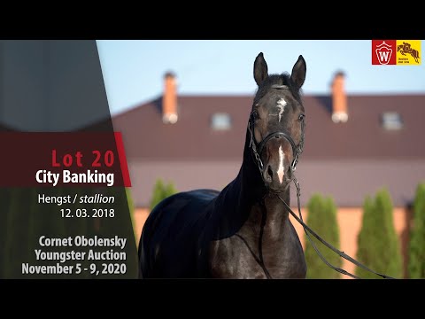 Cornet Obolensky Youngster Auction - Lot 20  City Banking - stallion by Cornet Obolensky-Cartier vdH