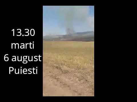 Incendiu Puiesti - peste 50 ha distruse de foc