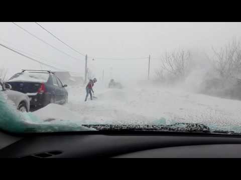 Dezapezire Negresti Vaslui