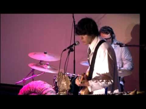 Being 747's Amoeba To Zebra Chapter 8 - Reign of The Reptile