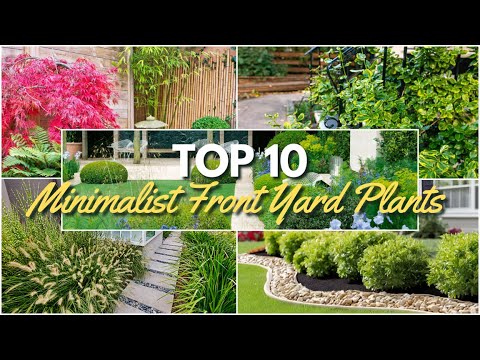 Top 10 Minimalist Front Yard Plants for Stunning Landscaping 🌼🌿
