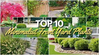 Top 10 Minimalist Front Yard Plants for Stunning Landscaping 🌼🌿