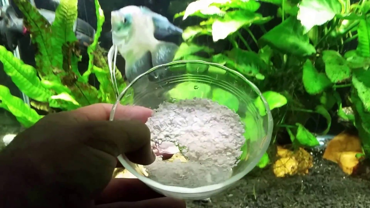 YouTube video preview