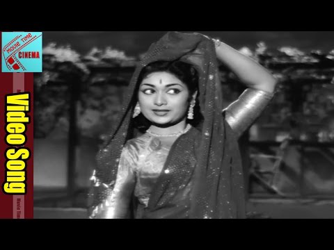 download lagu mp3 mp4 Evandoi Srivaru Oka Chinna Maata Song, download mp3 Evandoi Srivaru Oka Chinna Maata Song free download, download mp3 Evandoi Srivaru Oka Chinna Maata Song