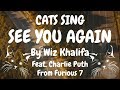 Cats Sing See You Again From Furious 7 By Wiz Khalifa Feat Charlie Puth Cats Singing Song