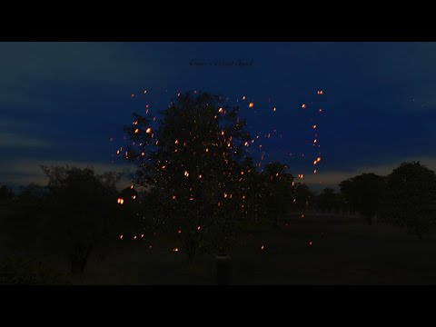 Trevor’s Bright Spark