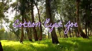 Cotton Eyed Joe by Amber Hayes [official lyric video]