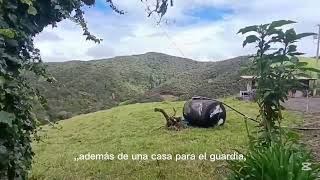 1 de octubre de 2025