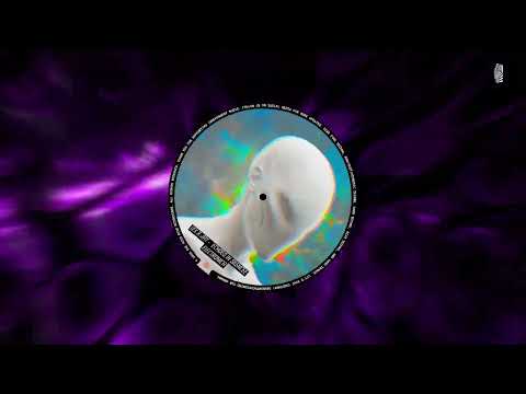 Lex & Jay - Echoes in Silence [The Acid Mind Recordings]