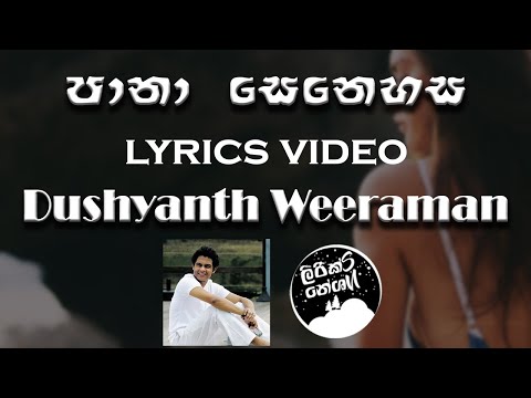 Pana Senehasa (පානා සෙනෙහස) - Dushyanth Weeraman [lyrics video]