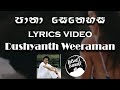 Pana Senehasa පානා සෙනෙහස Dushyanth Weeraman Lyrics Video
