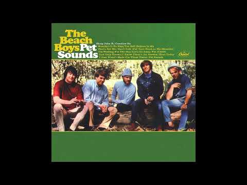 The Beach Boys - Hang On To Your Ego (2023 Mix)