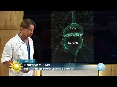 Mörka halvåret – nu ökar säsongsdepressionerna - Nyhetsmorgon (TV4)