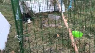 Symremyras The Right Regrets