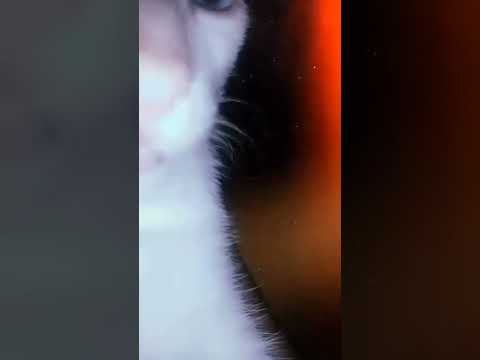 this is my  first  upload  my  pretty  cut