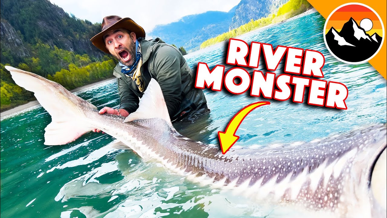 I Caught a 300lb River Monster!